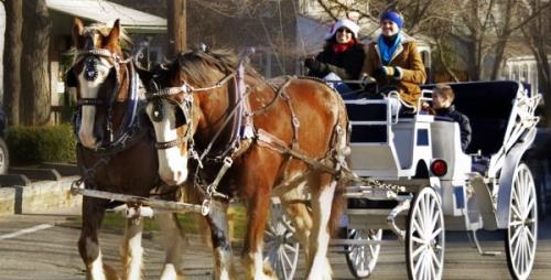 whofish local events businesses and coupons editor s christmas in the village eldersville pa