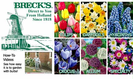 Brecks coupon code